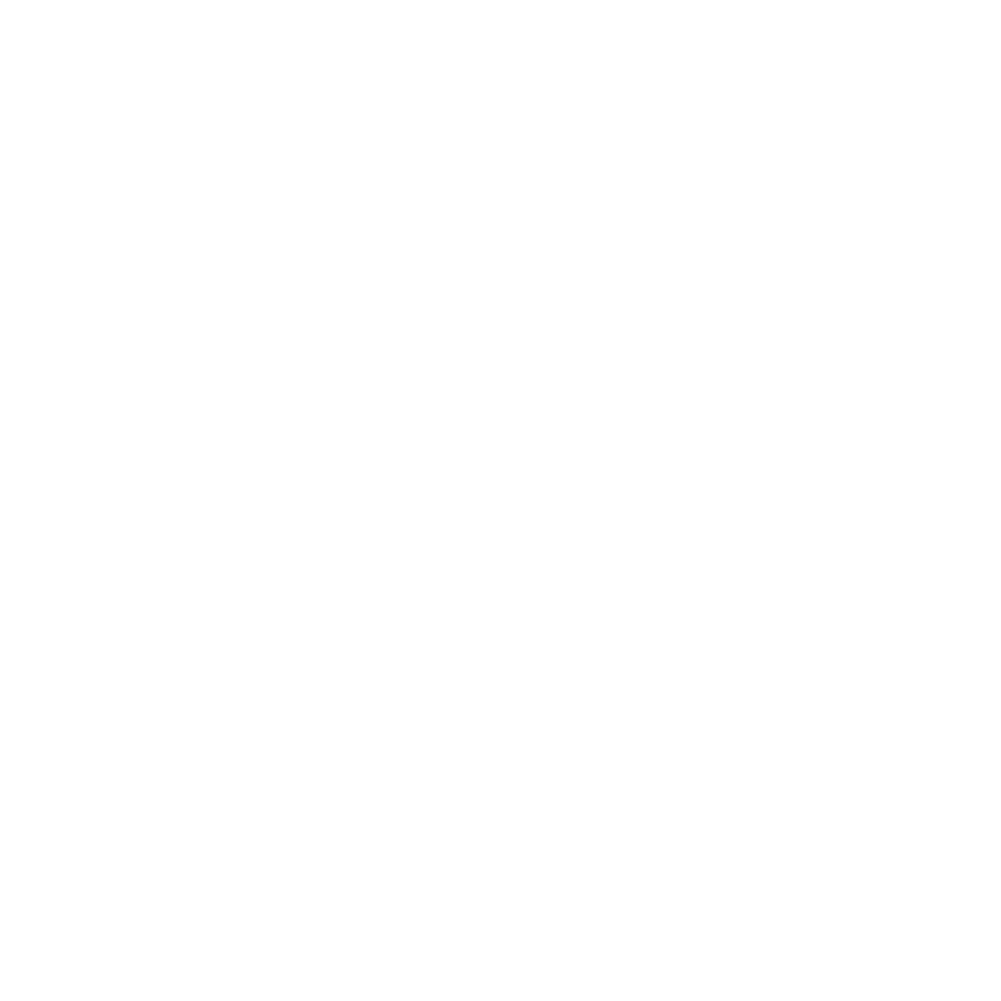 Warranty